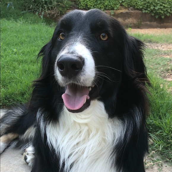 Meet your Posher, Casey - Picture 2 of 5